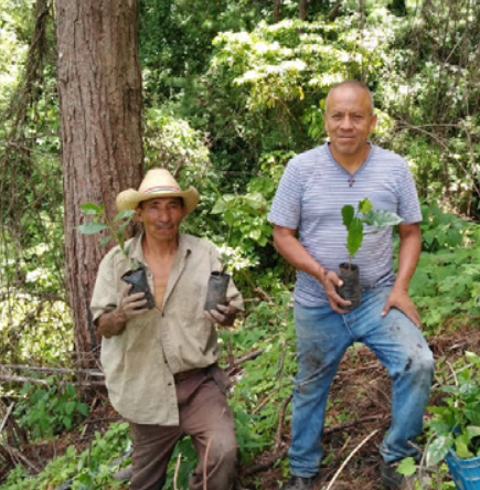 Antonio Gonzales, La Nueva Montaña, Finca El Hato